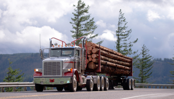 Truck transporting logs